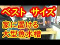 家に置ける大型水槽のおすすめサイズとは・・・古代魚水槽