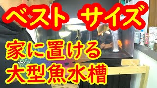 家に置ける大型水槽のおすすめサイズとは・・・古代魚水槽