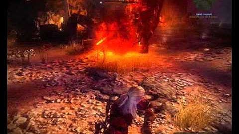 The Witcher 2 draug BOSS LESS THEN 20 SEC
