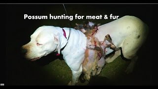Hunting possum for fur & meat.
