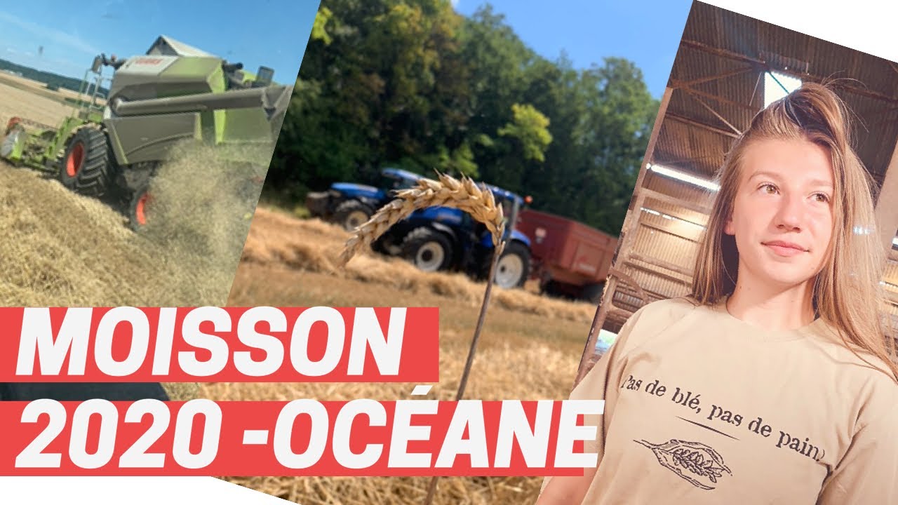 Moisson blé 2020 OcéaneFuturAgricultrice vlog