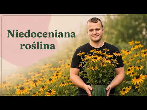 Nobody plants this flower - AND THAT'S A HUGE MISTAKE!