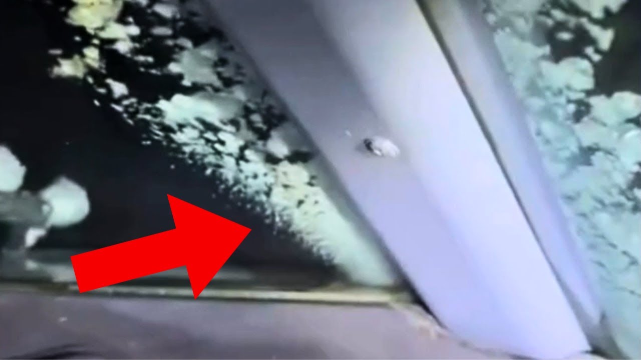 Plane Flies Through HUGE Hail Storm - Daily dose of aviation