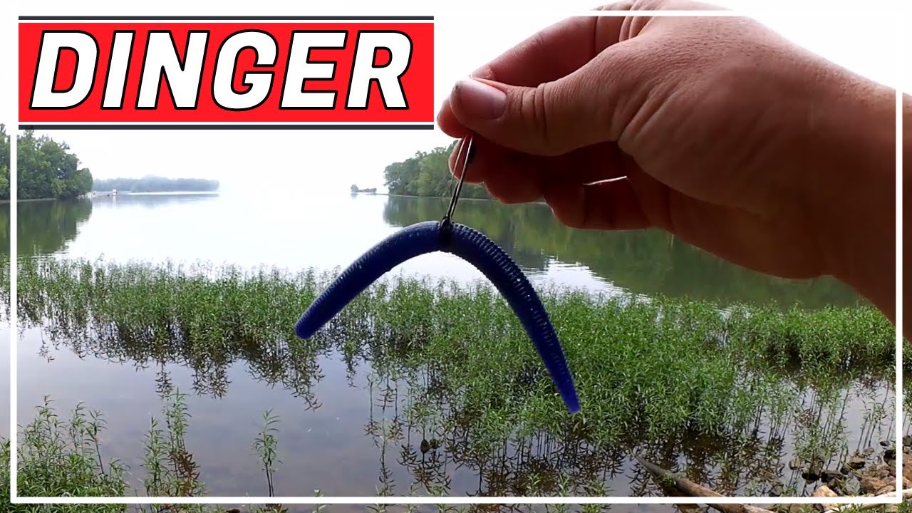 Easy Summer Bass Fishing Rig - Wacky Rig Yum Dinger (Beginner