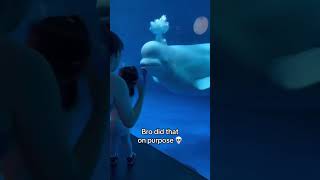 Beluga whale spooked little girl 😂