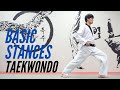 Taekwondo basic stances