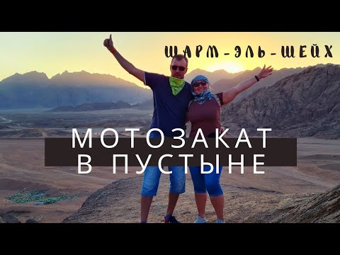 Видео: Египетийн хэв маягаар самрын хамт ногооны салатыг хэрхэн яаж хоол хийх талаар