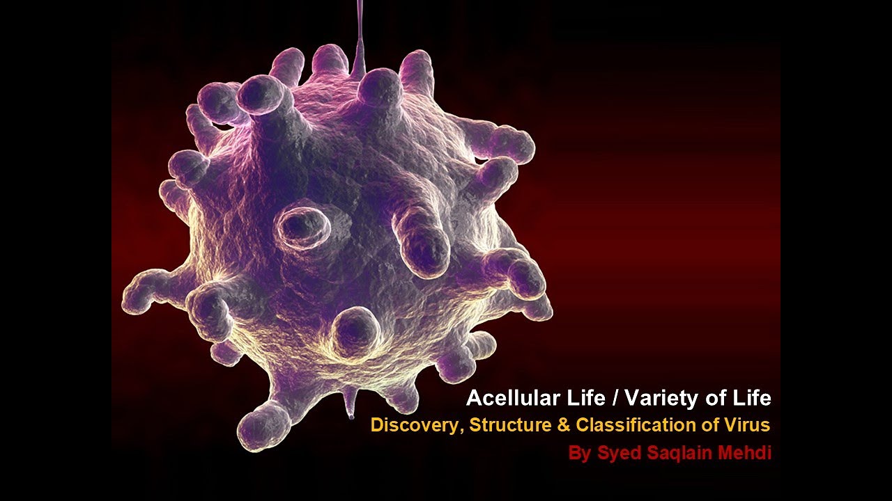| Discovery, Structure & Classification of Virus | Acellular Life | MDCAT & ET | Saqlain Mehdi |