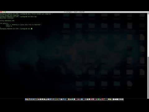 How to run a C Plus Plus file in Terminal (Linux/Mac)