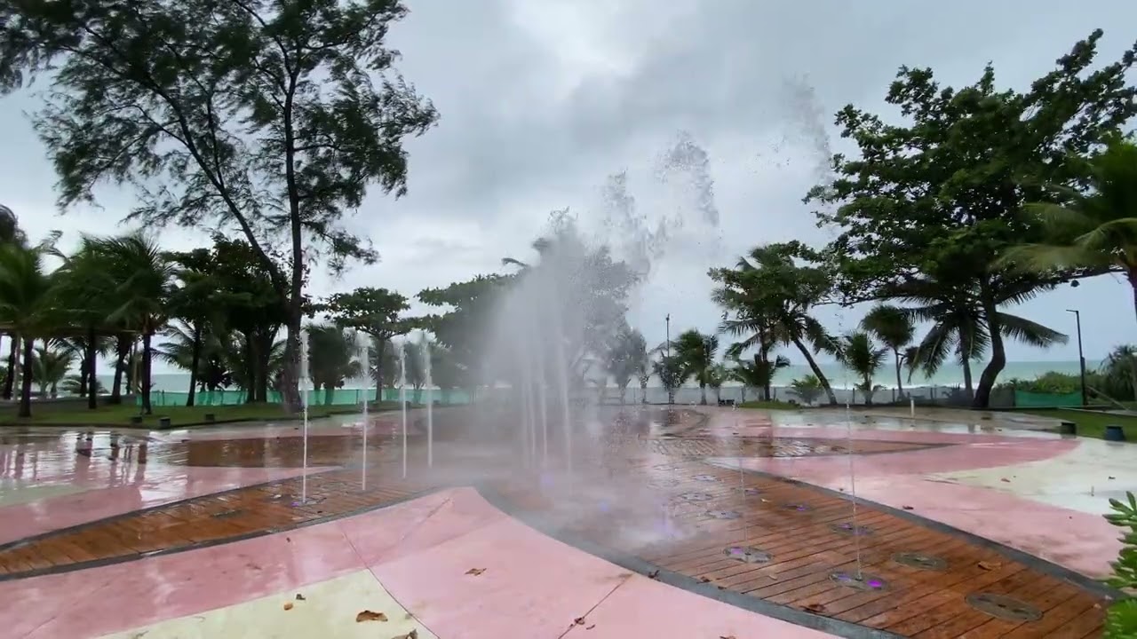 Lycaste at Boonta by the Beach - Supercalifragilisticexpialidocious (Disney's Mary Poppins)