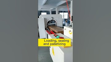 Volledig geautomatiseerde verpakkingslijn: robotarmlaad-, dozensluit- en palletiseermachine in actie