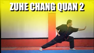 Vídeo aula de Kung Fu Wushu (Zuhe Chang Quan) parte 2