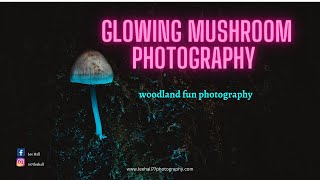 How to take pictures of glowing mushrooms