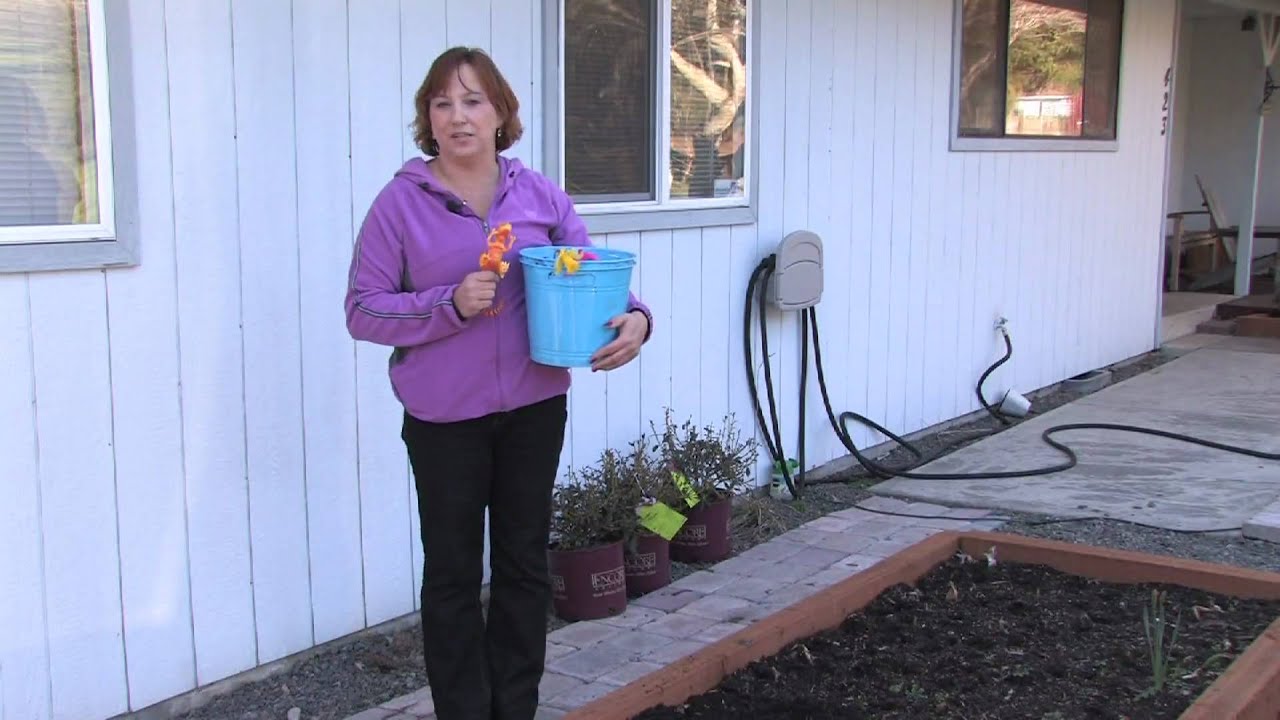 Gardening Tips : How to Design a Children's Garden - YouTube