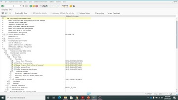 Assign Company Code to Chart of Accounts in SAP FICO