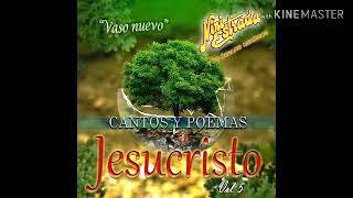 Nini Estrada Vol5 2020 Exitos