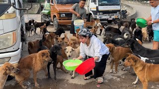 Today 3 kind lady help us to feed monkey and dog