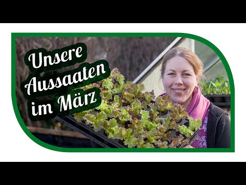 Aussaat im März