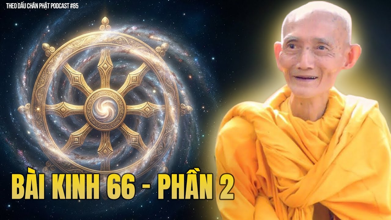 Thuyết giảng BÀI KINH 66, thấy rõ sống chết luân hồi (Phần 2) -Thầy Thích Giác Khang