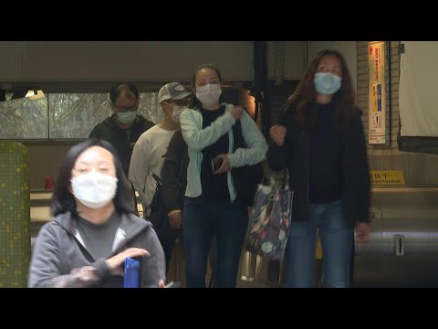 Quelle efficacité des différents types de masques contre le coronavirus? | AFP News Quelle efficacité des différents types de masques contre le coronavirus? | AFP News