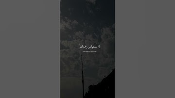من سورة الزمر - الشيخ ياسر الدوسري