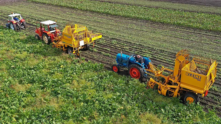 Old-timer sugar beet harvest with Schmotzer, Stoll...