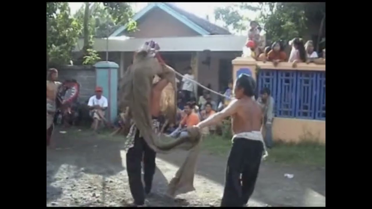 Bah Kabul mbarong.... mas kojin sing mucuk i....#Turonggosakti  #Jaranan Jambean