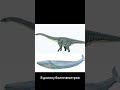 Самый большой динозавр
