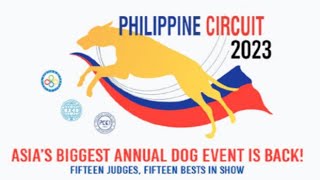 PHILIPPINE CIRCUIT 2023 by JOEL COOLDOGS 565 views 1 year ago 6 minutes, 33 seconds