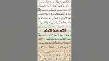 أواخر سورة البقرة #القرآن_الكريم #سورة_البقرة #جمعة_مباركة #المسلم #دعاء_مستجاب #تلاوة_خاشعة