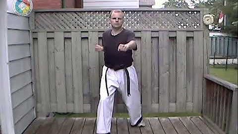 Taekwondo: Hapkido: Foundations: reverse middle punch, front view