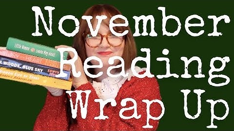 November Reading Wrap Up | Lauren and the Books