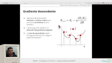 [INFO257] Redes Neuronales 3 - Gradiente descendente