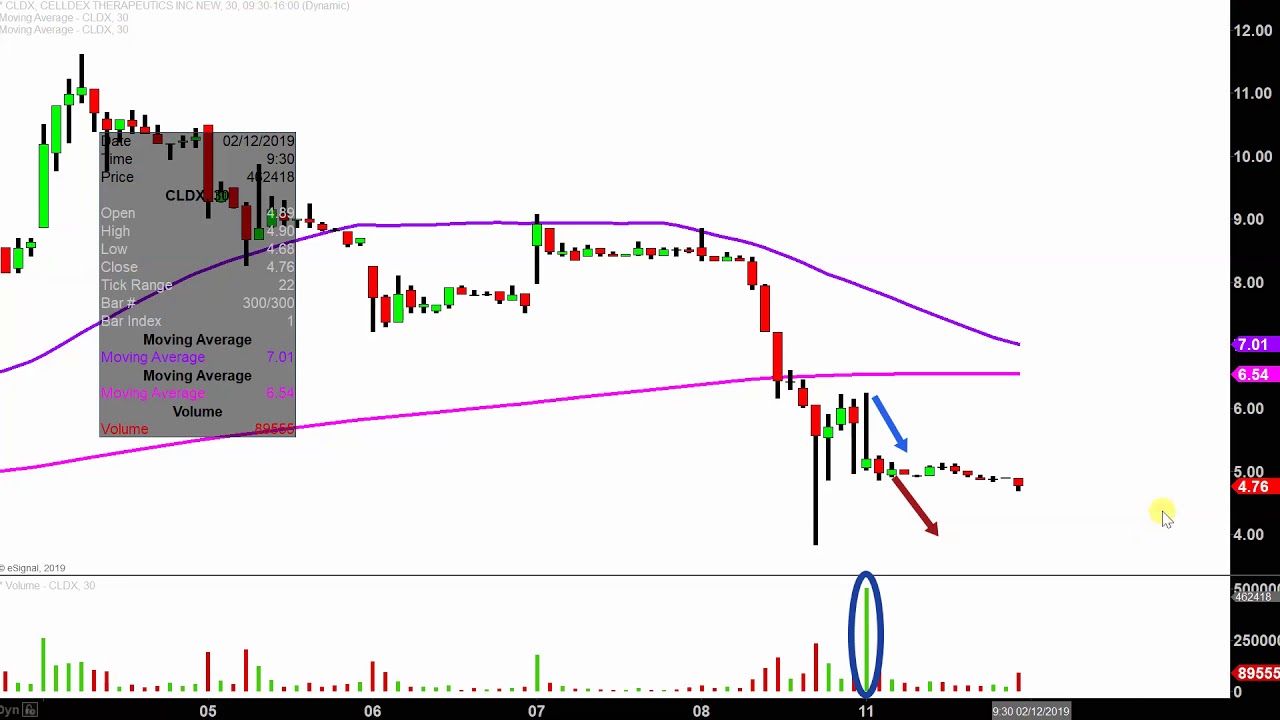 Celldex Therapeutics, Inc. - CLDX Stock Chart Technical Analysis for 02-11-2019