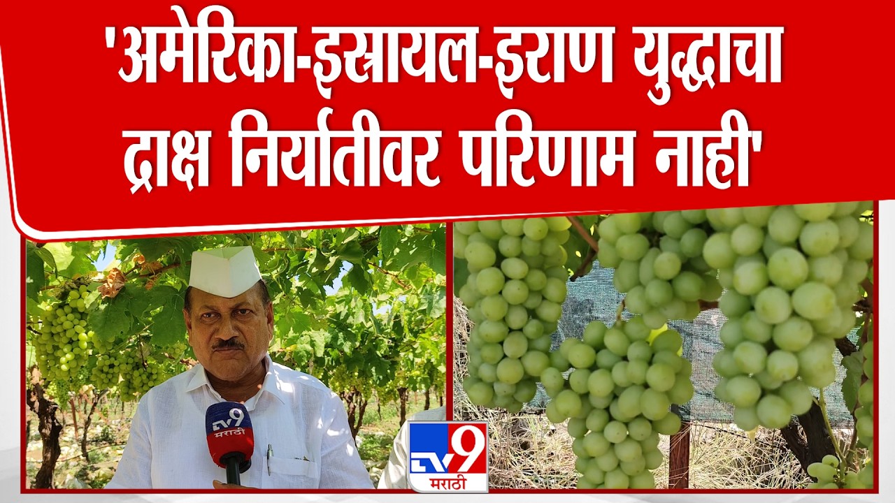 Kailas Bhosale | 'अमेरिका-इस्रायल-इराण युद्धाचा द्राक्ष निर्यातीवर परिणाम नाही' : कैलासराव भोसले