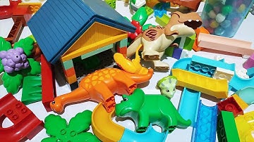 Satisfying Building Blocks ASMR Marble Run #352 Dinosaurs House Jungle and other Course live 20