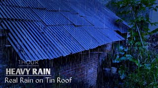 Falling Asleep to Heavy Rain on a Corrugated and Dull Iron Roof at Night