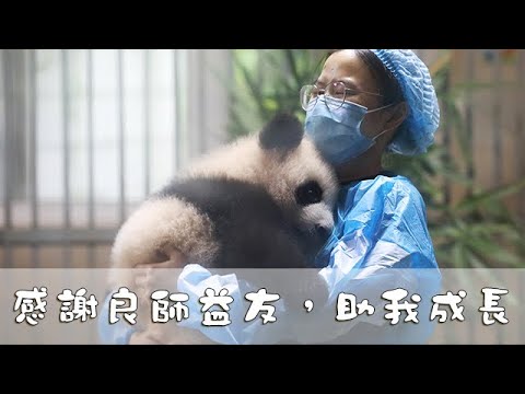 《熊貓主題趴》感謝良師益友，助我成長 | iPanda熊貓頻道