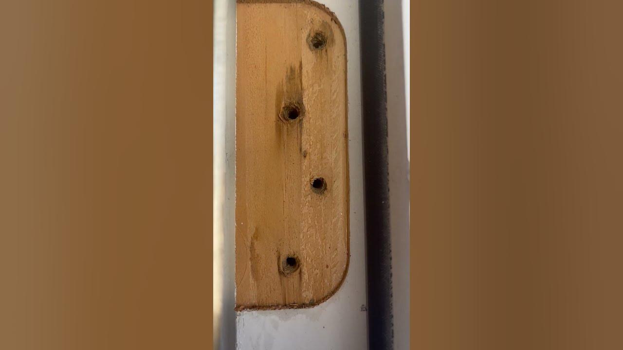 How to Shim Gapping Doors (DIY)