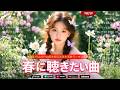 🌸【永久保存版】春ソング 名曲メドレー 2026｜卒業・桜・新生活を彩る90年代・2000年代 邦楽ヒット完全版