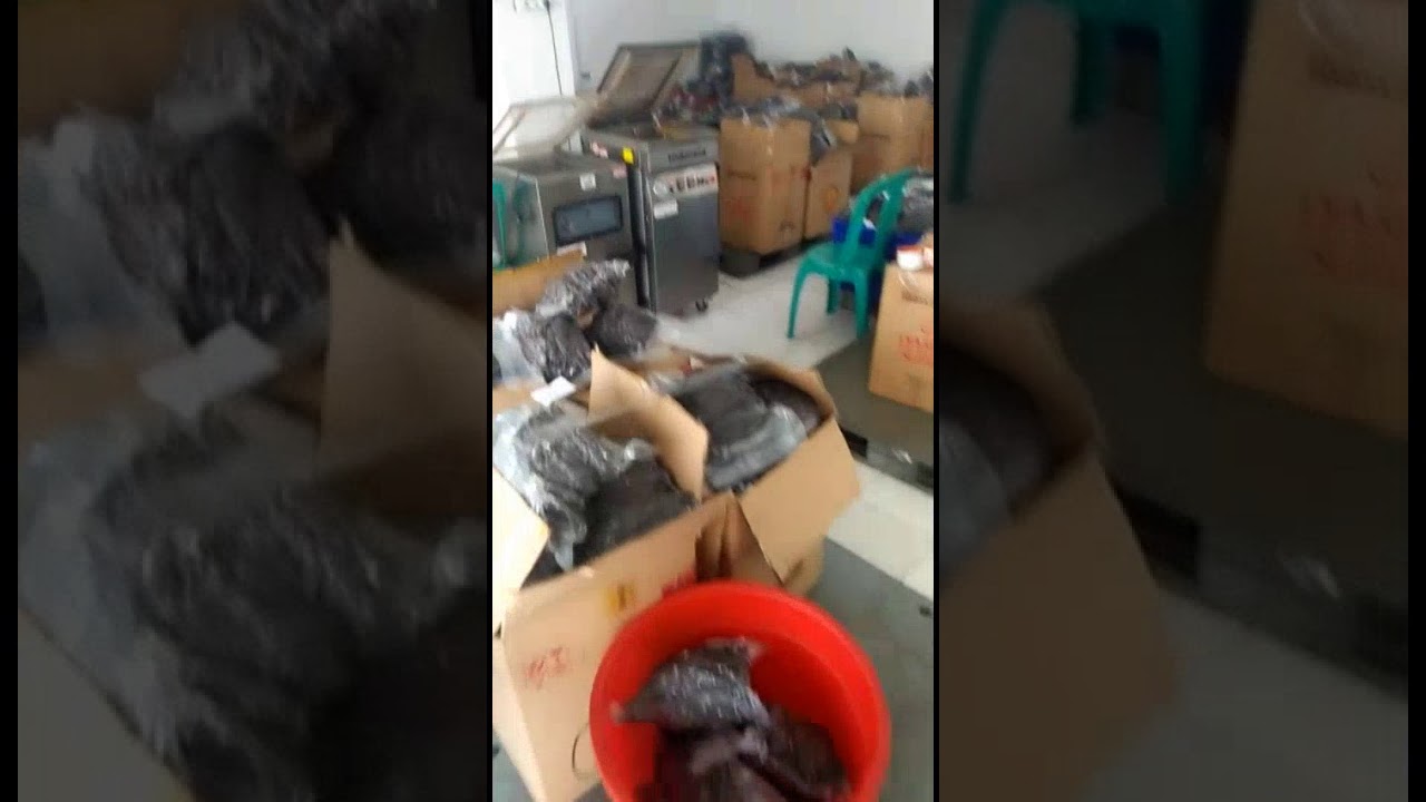 Visit Our Vanilla Beans Factory - Indonesia