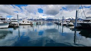 Just some of the reasons We Moved to Alaska! | Surf Fishing, Beaches & Seward