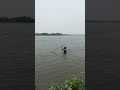 #fishing #fish #shortvideo