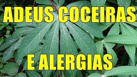 O que é bom para alergia de pele?
