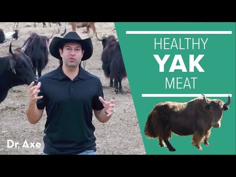 Yak: The Healthy Meat That You Probably Haven't Discovered