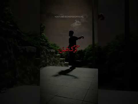 پیله بستم مثل پروانه تا یادم بمونه مو به تنت سیخ میشه  رپفارسی تتلو