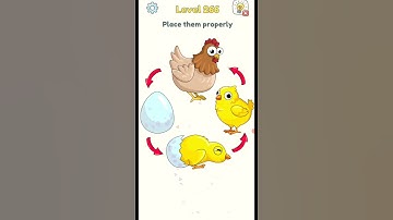 DOP 3 Level 266 : Place them properly