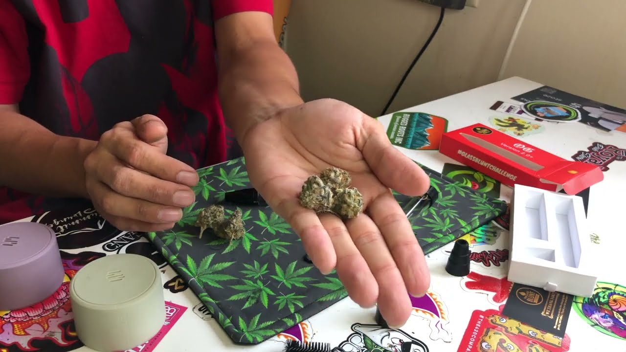 No Papers ? No Problem, It’s Glass blunt time !!!