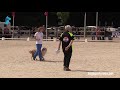 Selection Cécile Bolibois Hrox Star In The Name Of Love Border Collie France Selection Cécile Bolibois Hrox Star In The Name Of Love Border Collie France