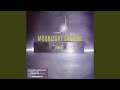 Miniature de la vidéo de la chanson Moonlight Shadow (Josh Harris Remix)